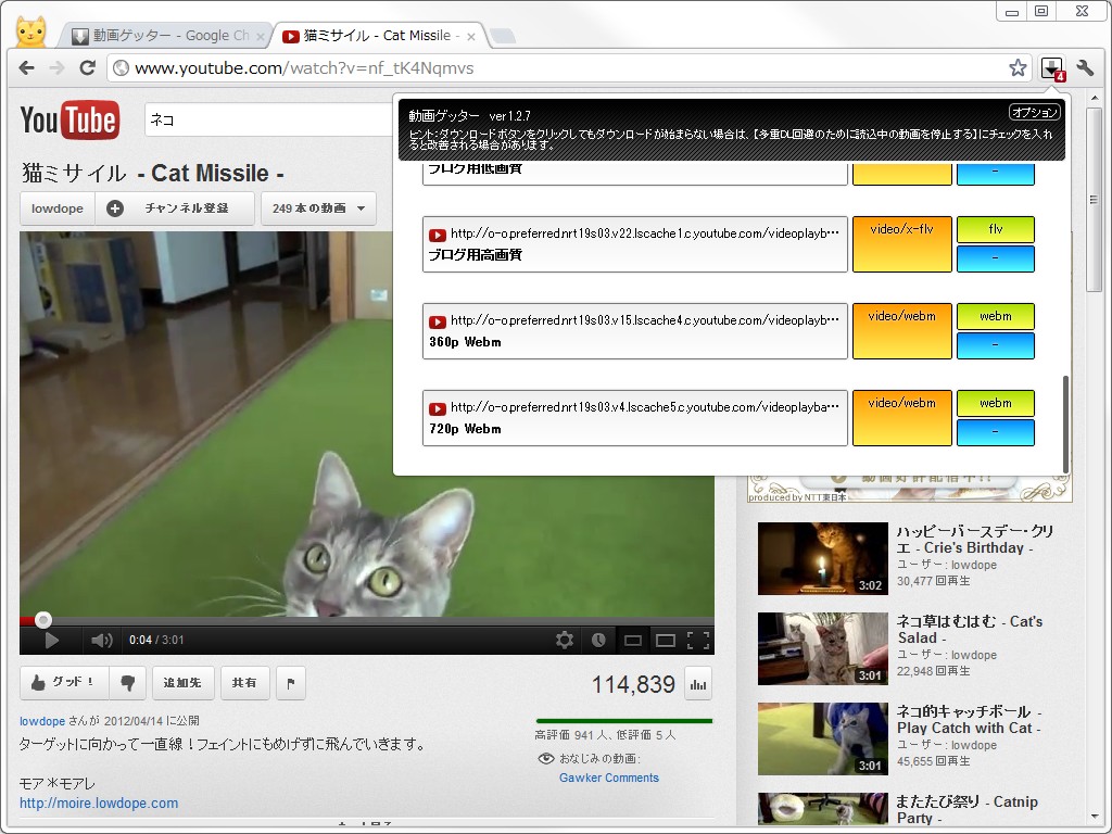 “YouTube”では任意のフォーマットを選択できる