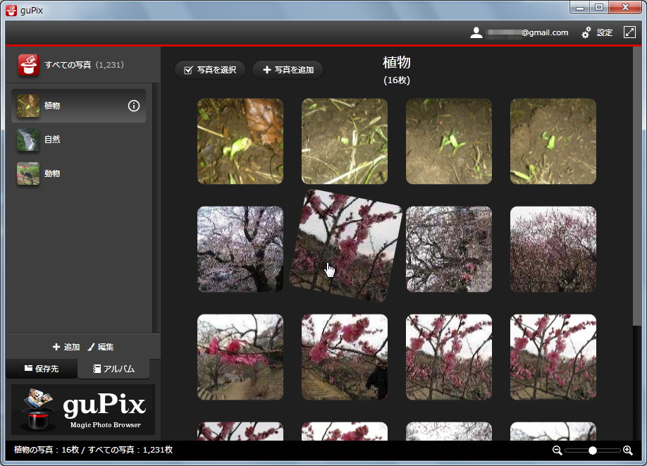 左ペインを“アルバム”の表示に