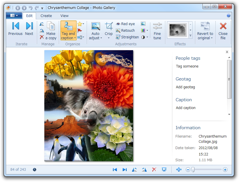 「Windows Photo Gallery（ムービー メーカー）」