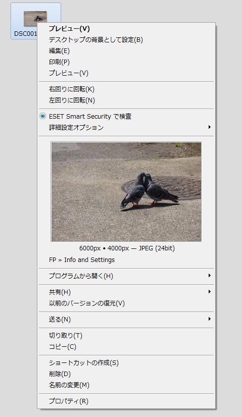 「FastPreview」v3.2