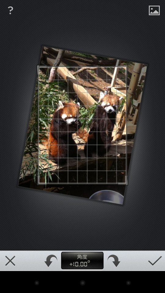 ［STRAIGHTEN］メニューを選択すると、上下左右にスワイプして角度を補正できる