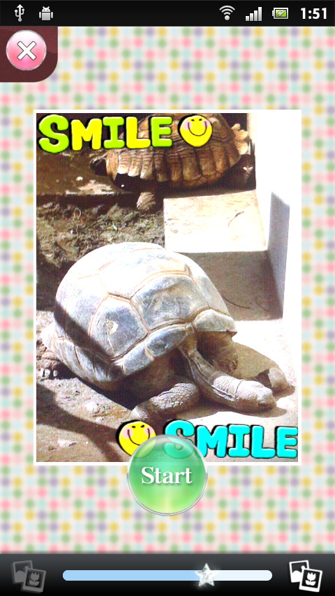 撮影後の画面で、下部のバーをスライドして写真の明るさを調整できる