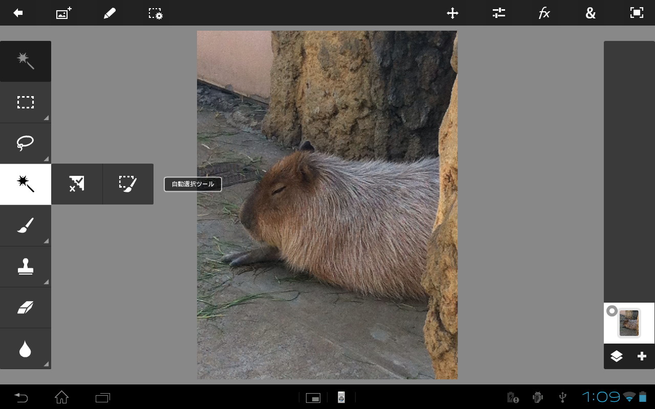 “自動選択”ツールをはじめとした豊富な選択ツールを使用可能
