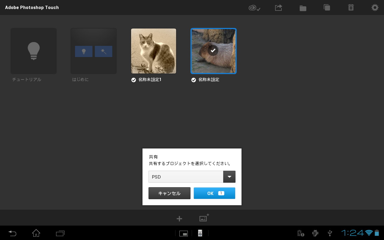 加工した“プロジェクト”はJPEG/PNG/PSD/PSDX形式で出力し、連携するアプリで共有可能