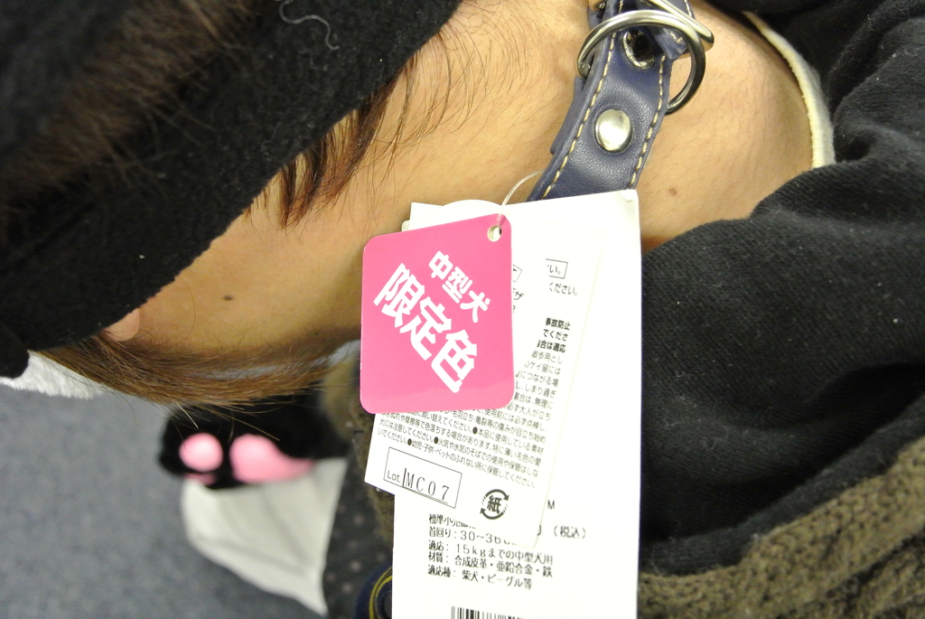 イヌ用の首輪で代用。これに「ソースコード」と呼ばれるウイルスを収めたUSBメモリを括りつける