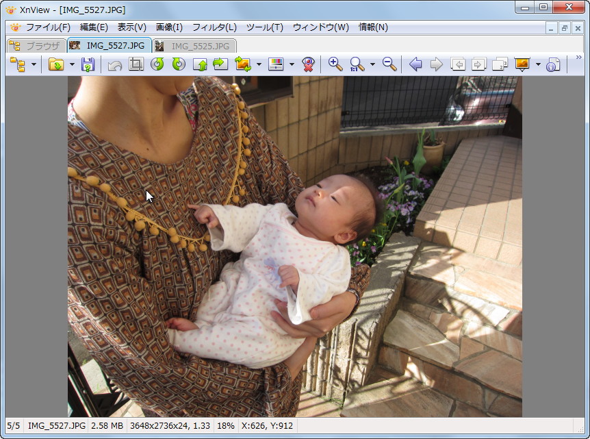 画像をタブとして拡大表示