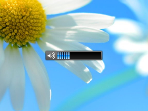 8種類のスキンが標準で同梱されており、見栄えを自由にカスタマイズできる