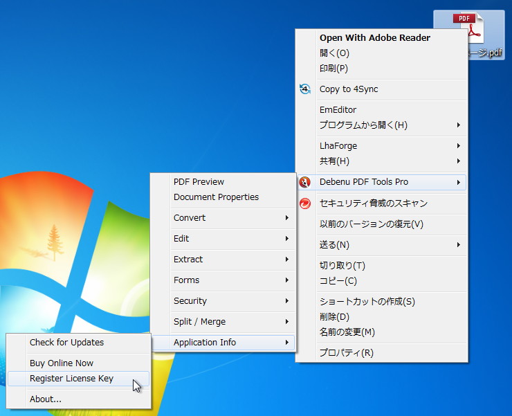 ［Application Info］－［Register License Key］項目