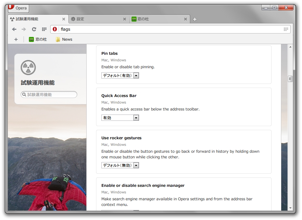 「Opera 17 Developer」の“opera:flags”画面