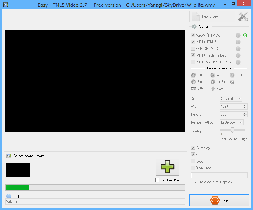 変換オプションの指定。［Start］ボタンを押すと、動画の変換処理が始まる