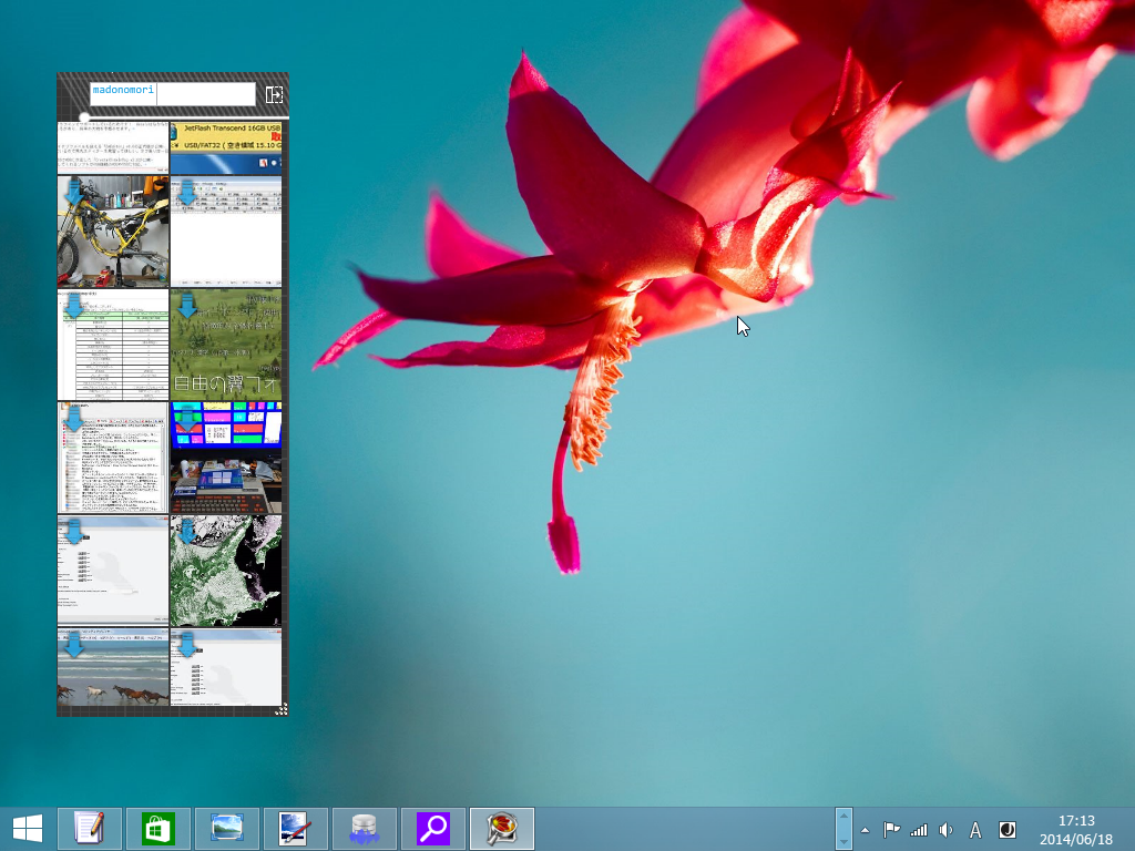 ほかの作業をしながら目についた画像をストックしていける“Mini View”