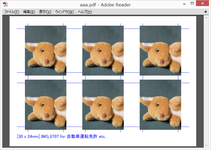出力したPDFファイル。切り取り線がついている