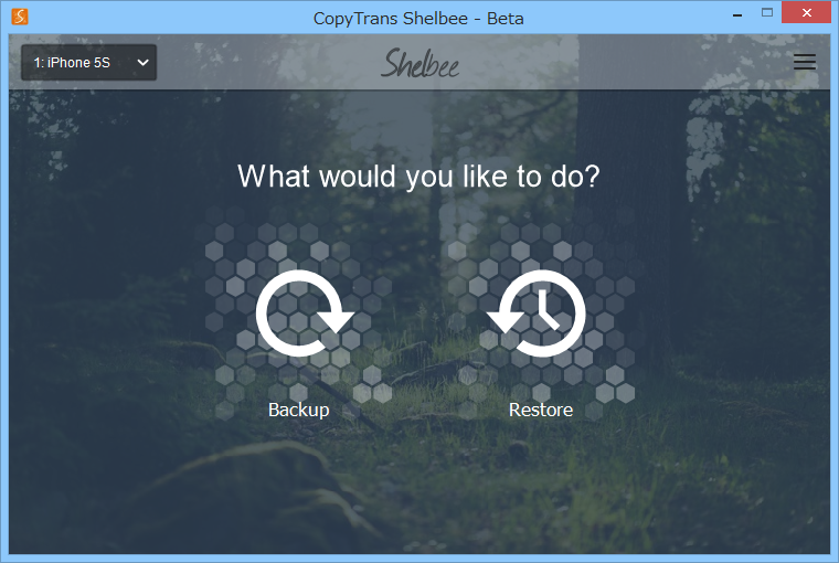 「CopyTrans Shelbee」v1.00 Beta
