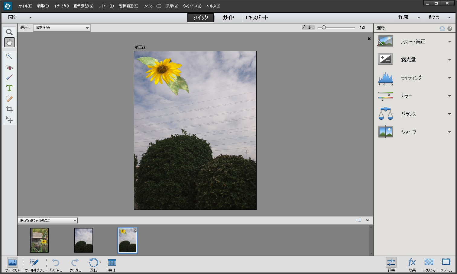 植物の写真から花を切り抜いた合成写真。この程度の作業なら1分と経たずできてしまう