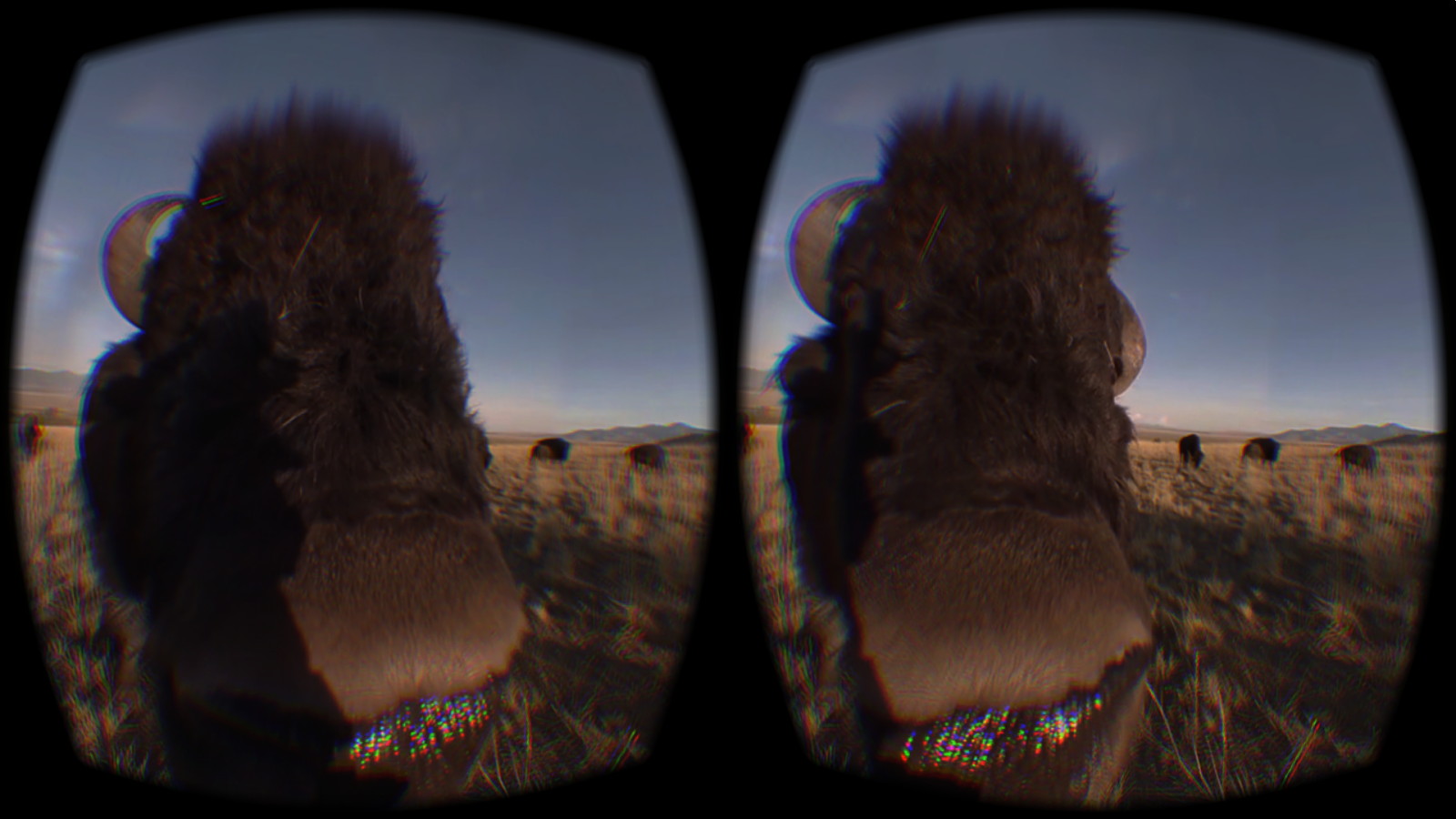 振り返るとこんにちは