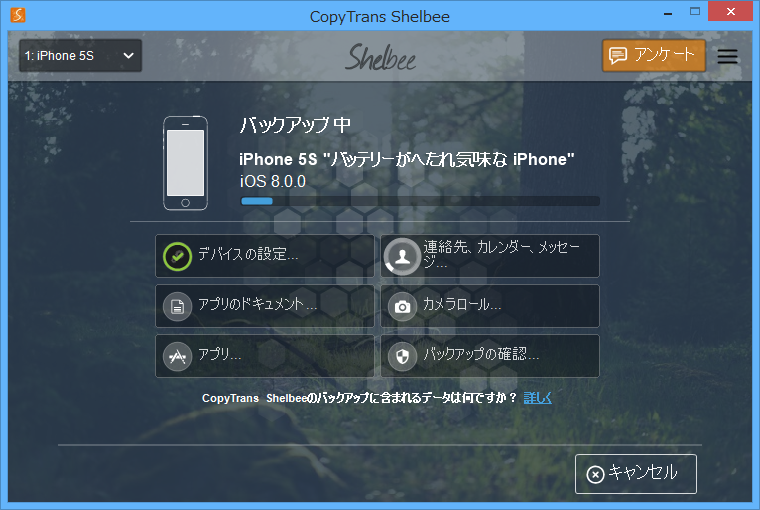 バックアップ処理