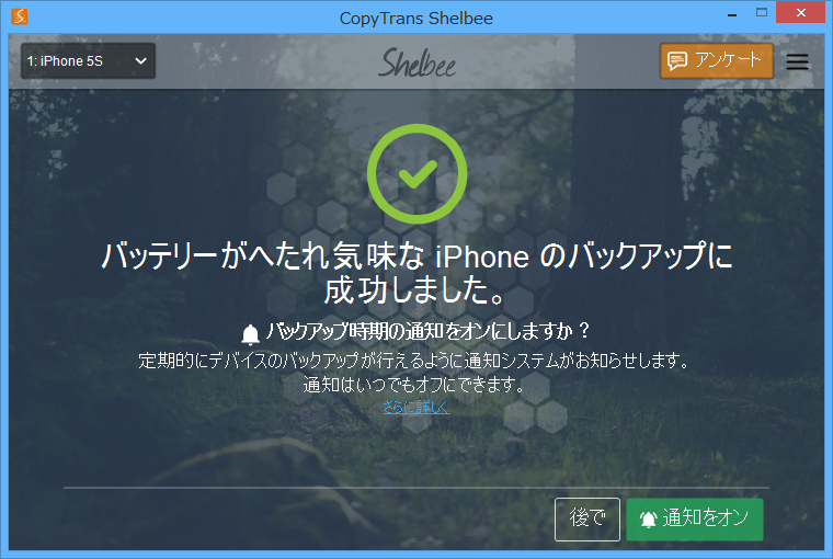 バックアップ処理
