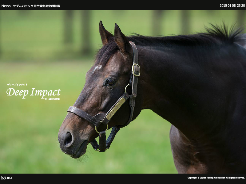 「２０１５年ＪＲＡオフィシャルスクリーンセーバー」