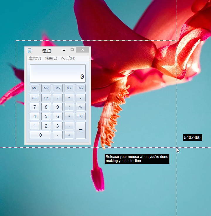 録画したい領域を選択