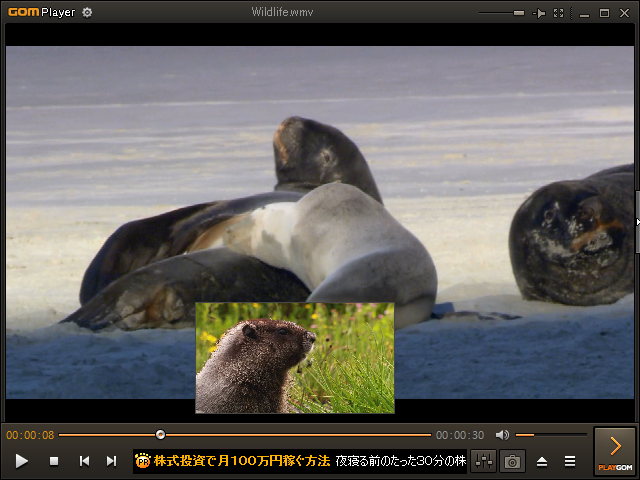 動画のプレビュー機能