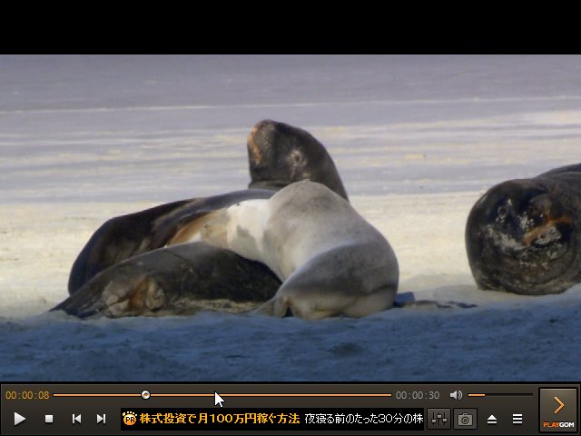 再生中にスキンを非表示にする機能