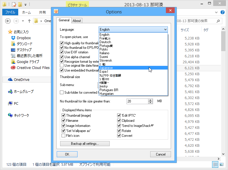 オプションダイアログで日本語化が可能