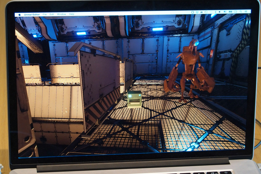 手足を引っ込めて箱状になると見つからない。この緊張感がすごい