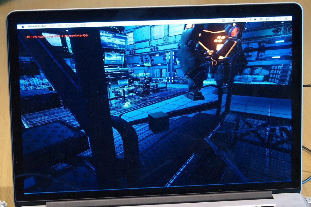 手足を引っ込めて箱状になると見つからない。この緊張感がすごい