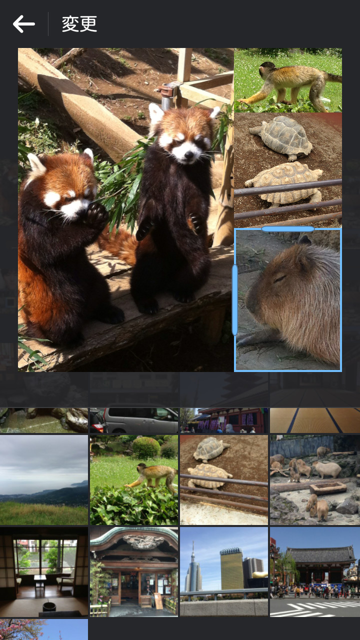 「Layout from Instagram」