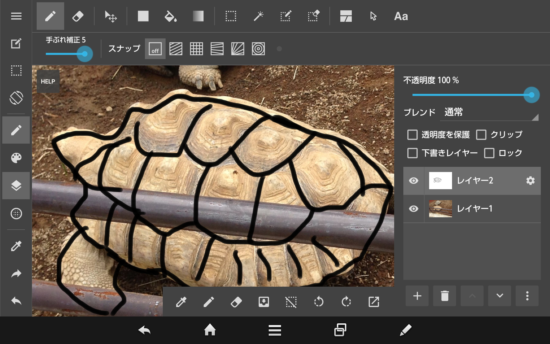 取り込んだ写真にレイヤーを重ねて、上からなぞるだけでイラストを描ける