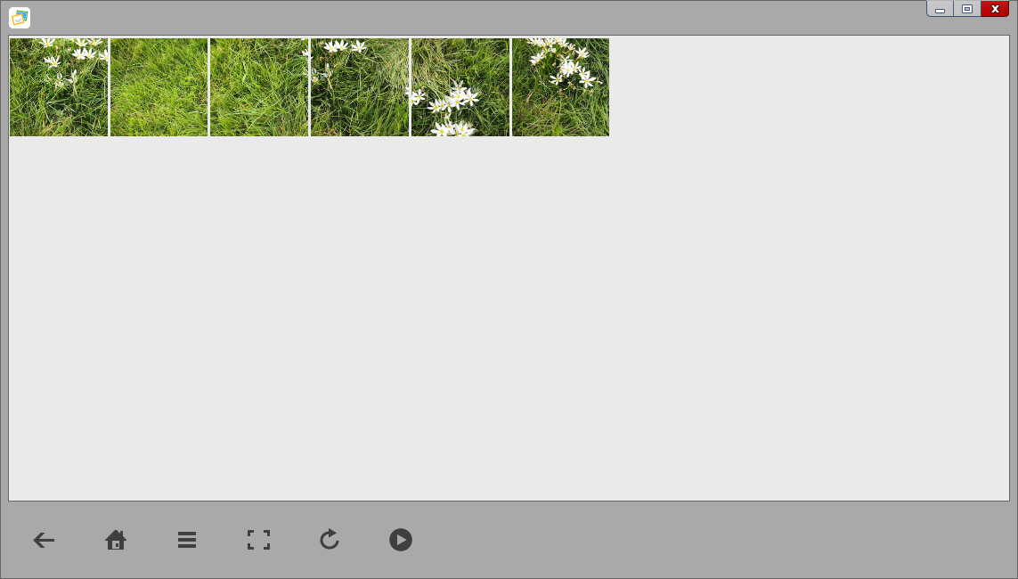 最大化のためのボタン