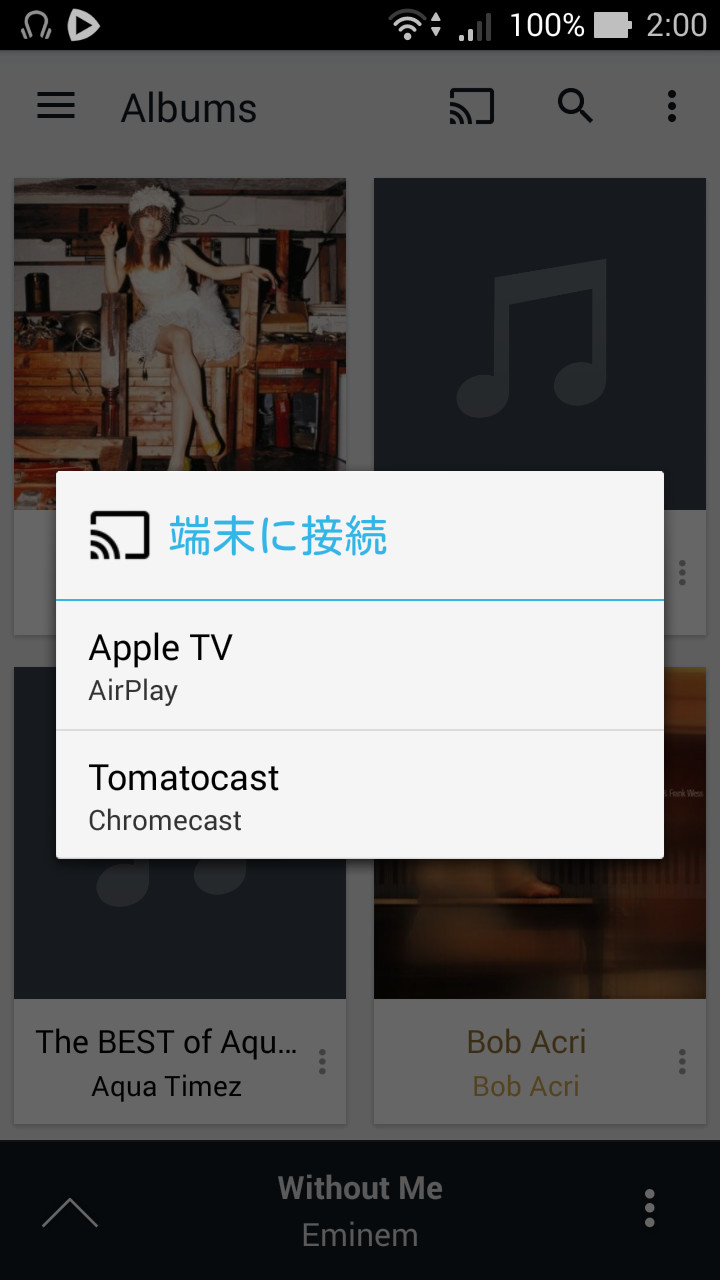 起動画面右上の［キャスト］ボタンから“Chromecast”や“Apple TV”などに音声を出力できる
