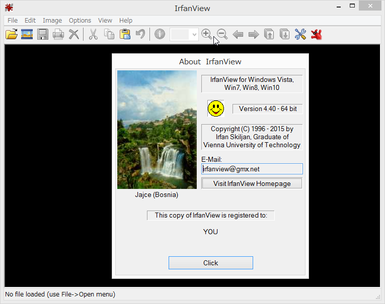 「IrfanView」v4.40