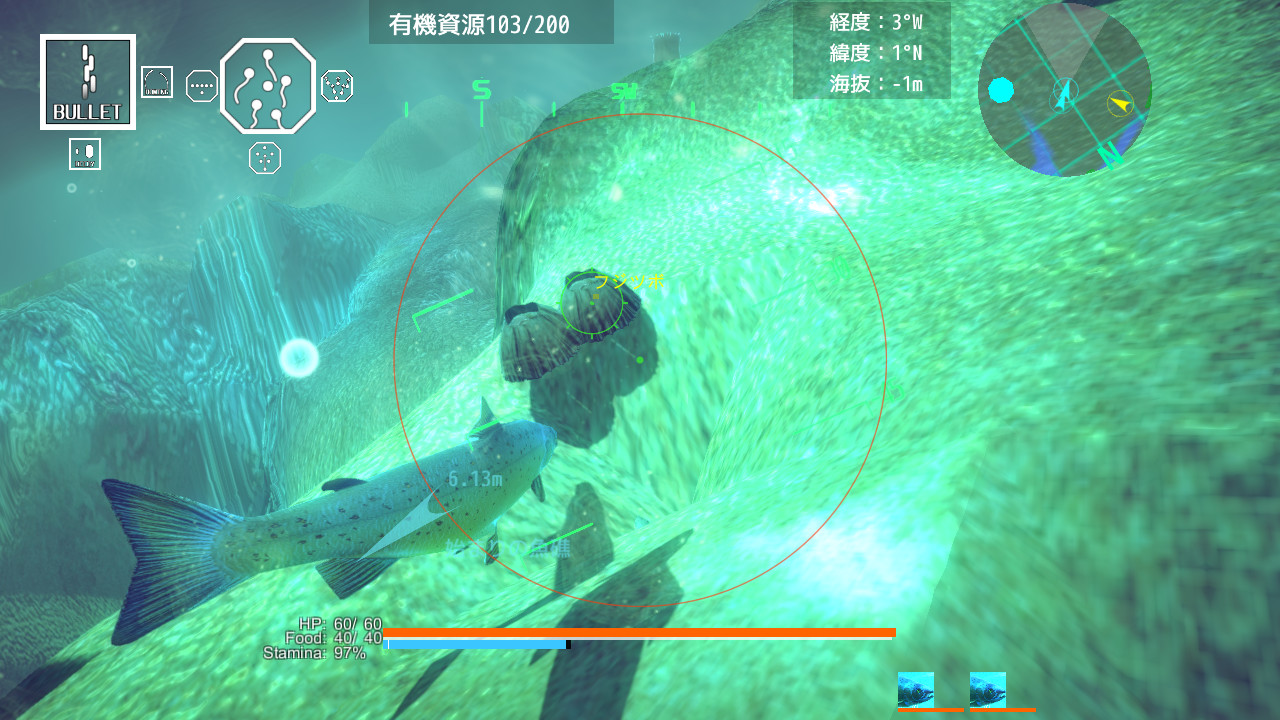 最初の魚礁の近くには、岩に張り付いた小さな水棲生物がいる