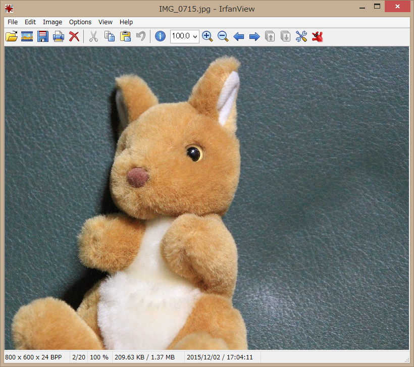「IrfanView」v4.41