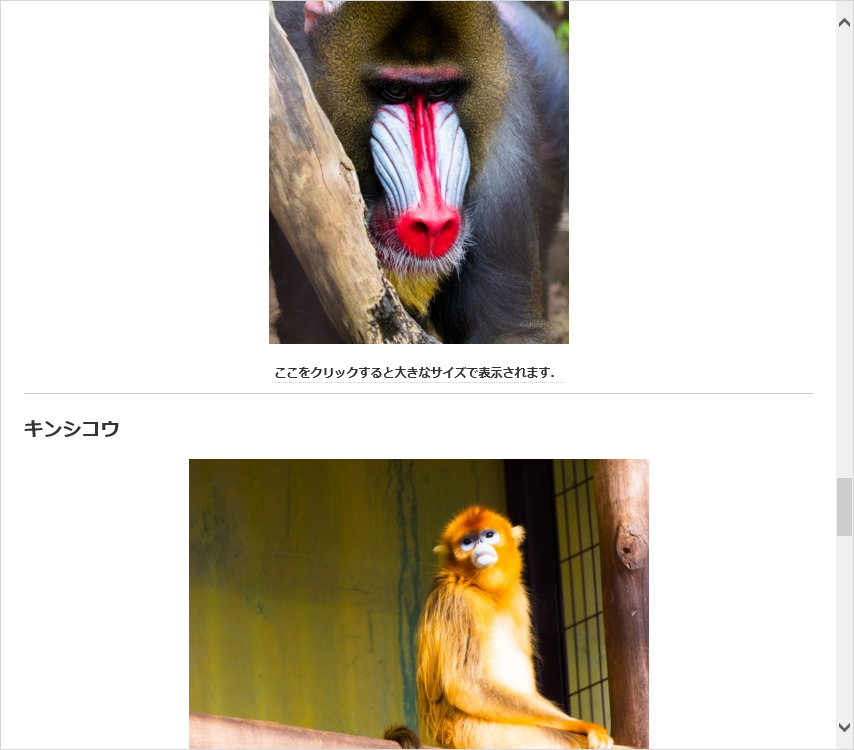 キンシコウなどの日常が切り取られている