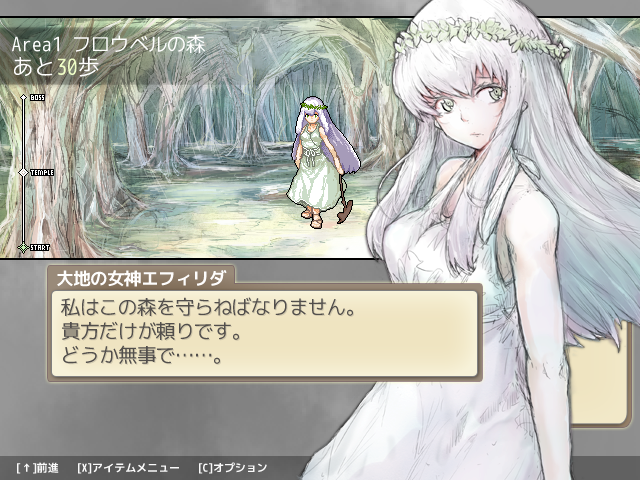 冒険は邪神の手が迫る森から始まり、雪原に灼熱の洞窟、神殿とさまざまなエリアを踏破していく